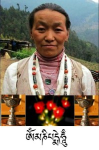 Dali sherpa